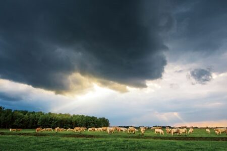 Fortify Your Farm Image